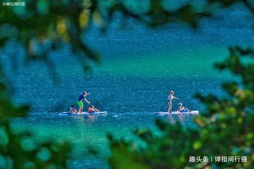 「探寻亲戚借名买房房子归谁的乐园」